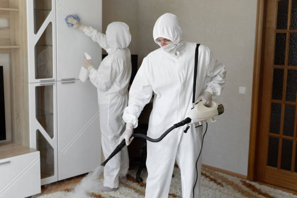 Best Post-Remediation Services in Hollins, VA