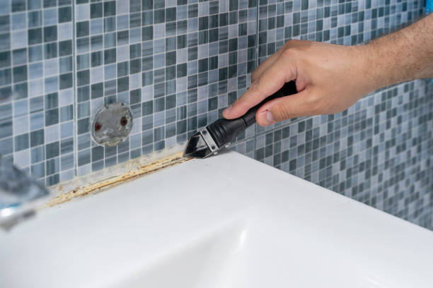 Best Black Mold Remediation in Hollins, VA
